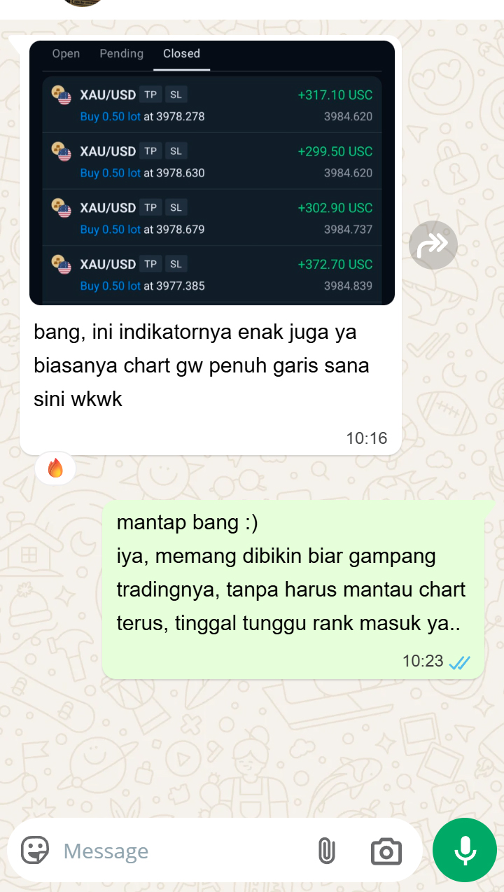 Screenshot chat testimoni pengguna 2